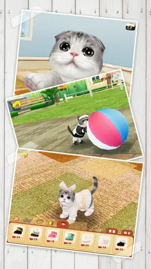 心动小猫 - 可爱宠物养成游戏