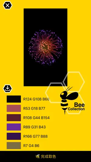 Bee collection - 色彩收集 & 挑选